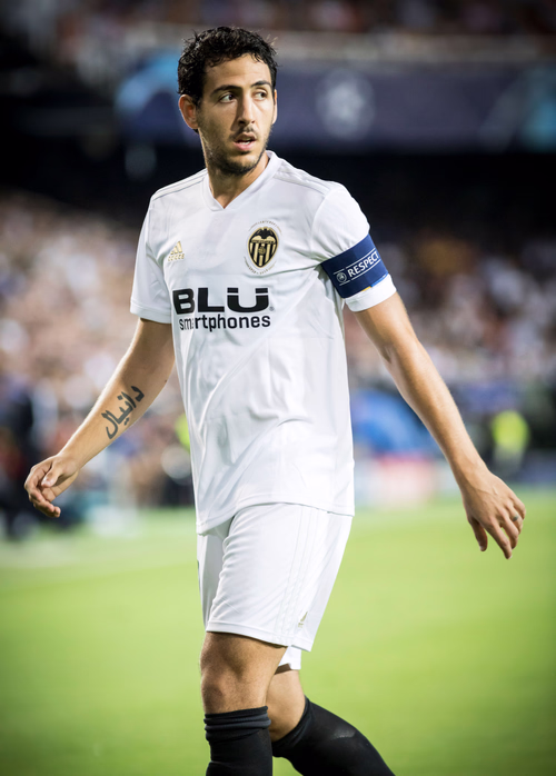 Dani Parejo photo